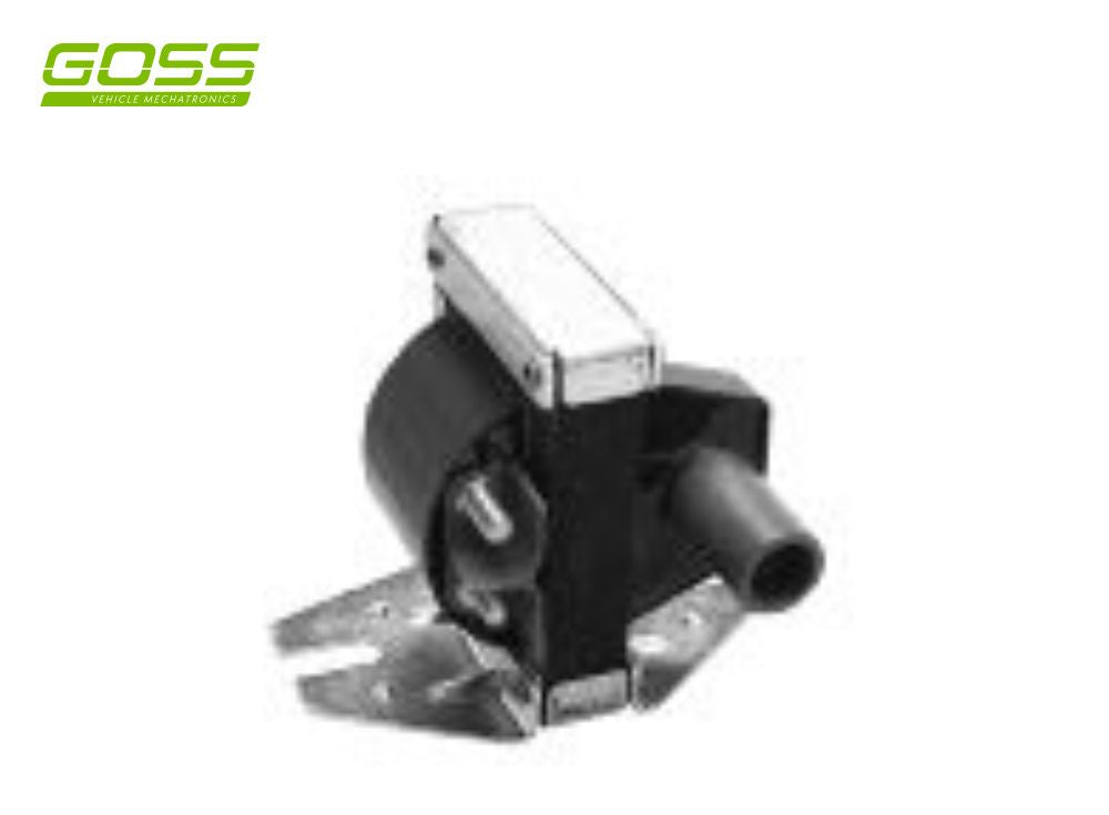 BMW 7 Ignition Coil - C258