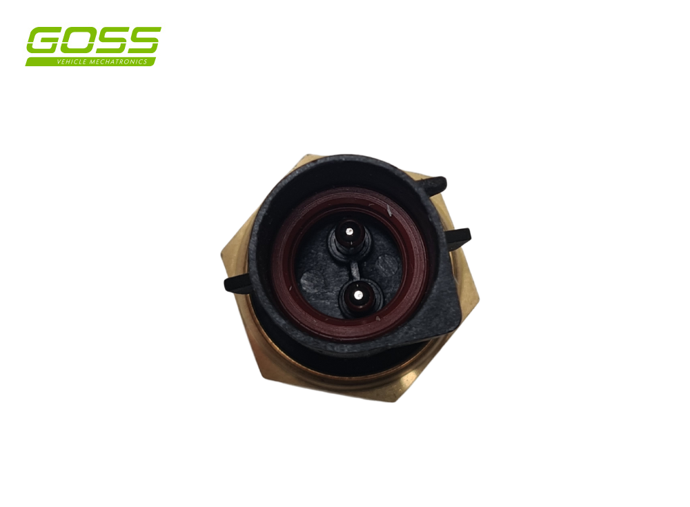 FORD AUSTRALIA F-150 Coolant Temperature Sensor - CS822