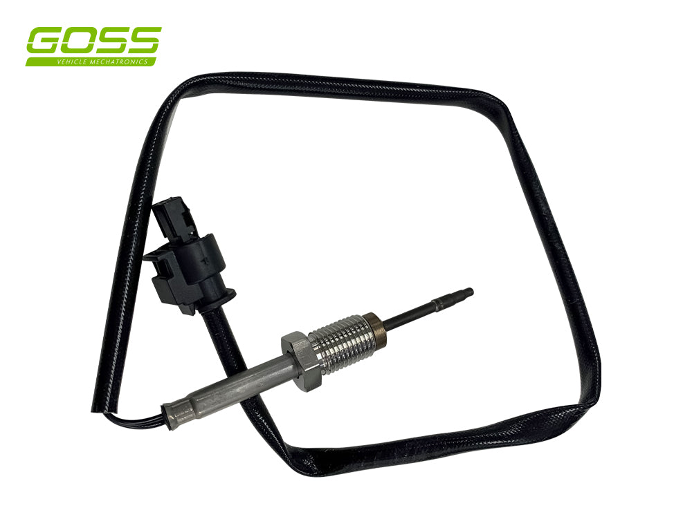 BMW X3 Exhaust Temperature Sensor - EG139