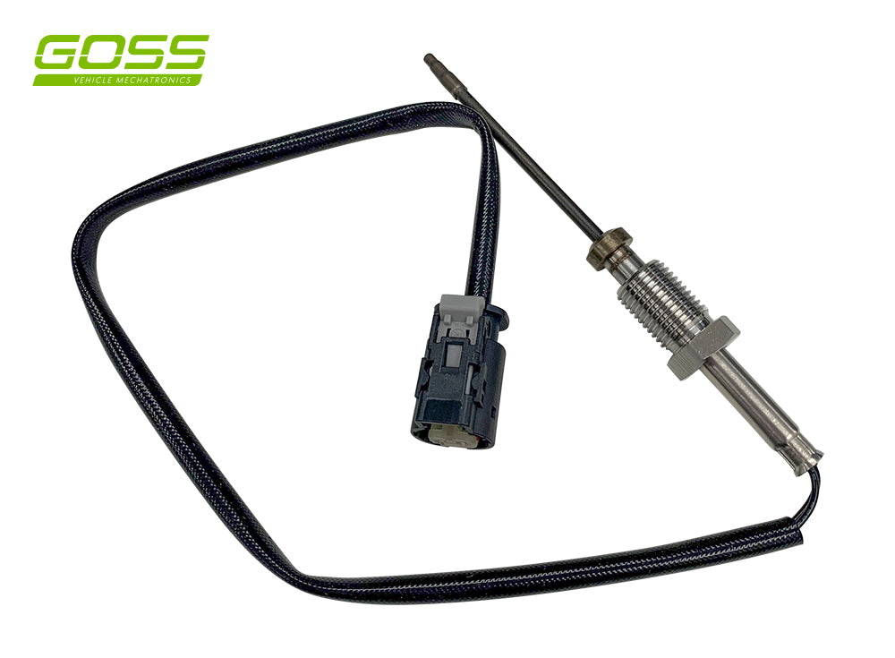 BMW 7 Temperature Sensor - EG154