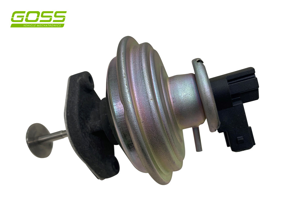 BMW 3 Egr Valve - EV157