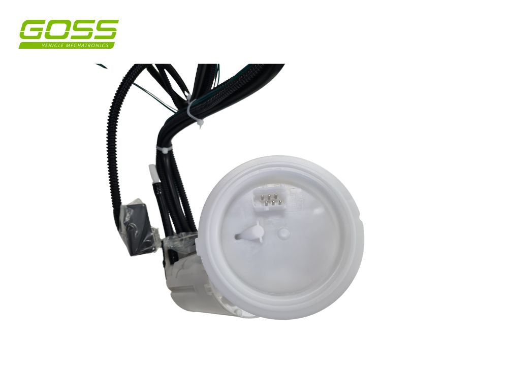BMW 5 Fuel Pump - GE352