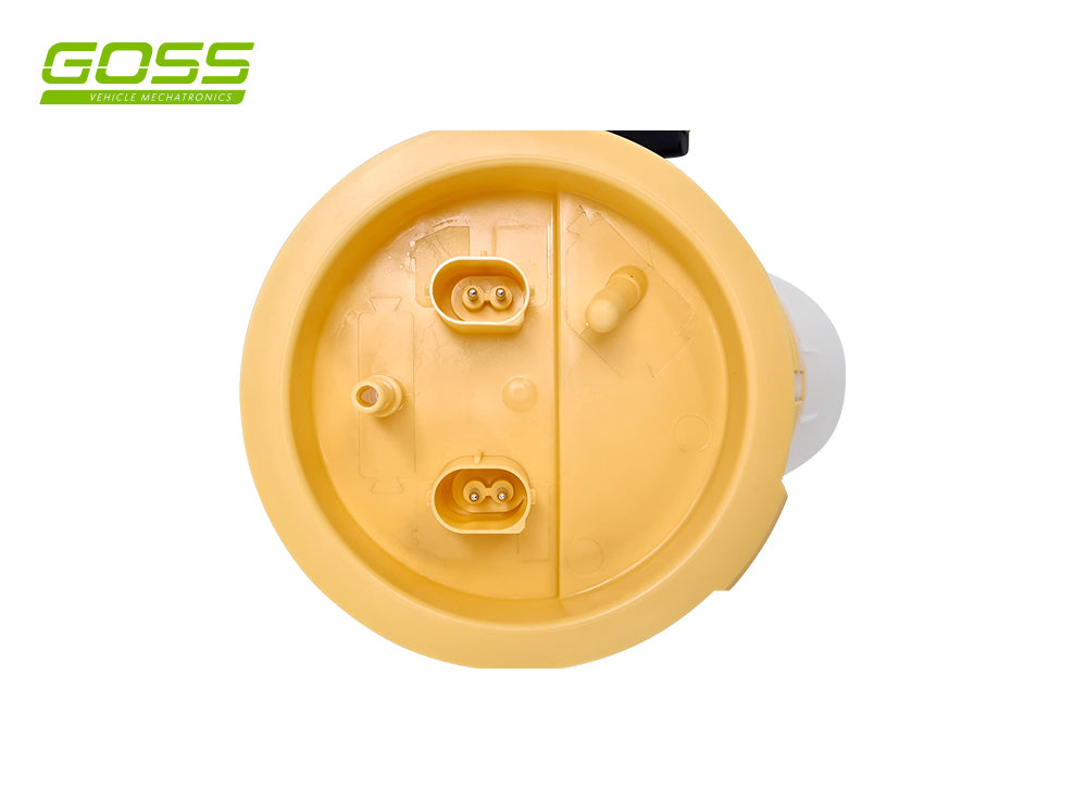 BMW X1 Fuel Pump - GE610