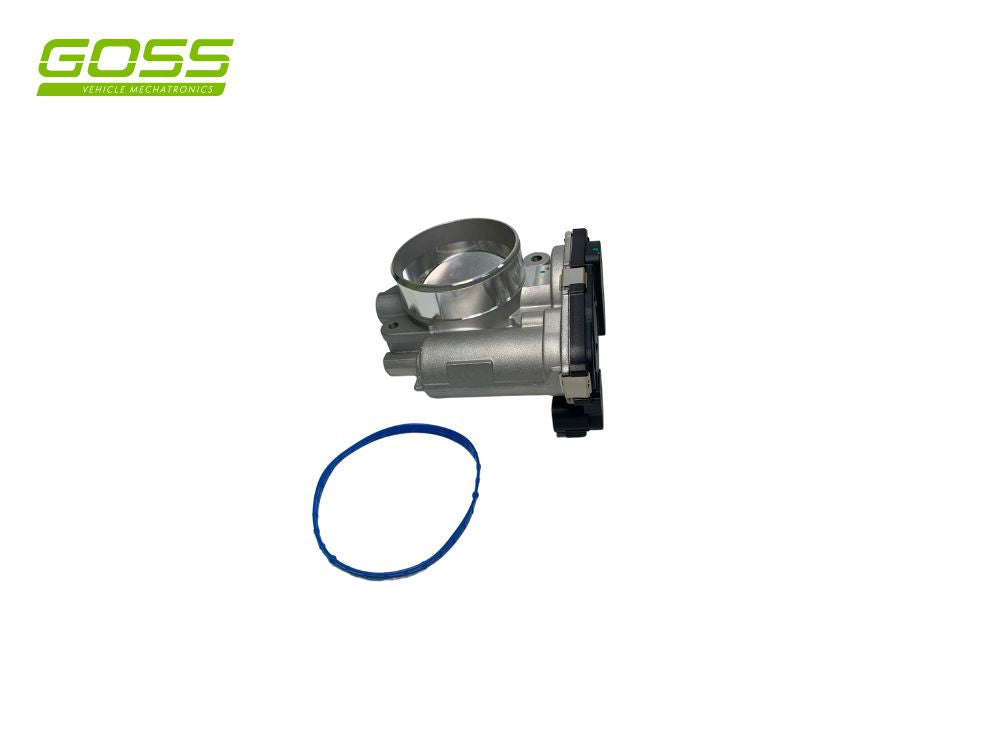HOLDEN CAPRICE Throttle Body - TB234