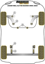 Ford Rear Beam Mounting Bush