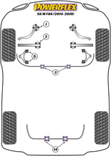 BMW X Series Front Radius Arm Bush