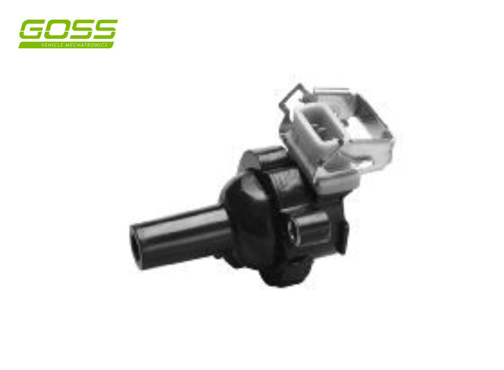 BMW X5 Ignition Coil - C208