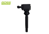 HAVAL H8 Ignition Coil - C701