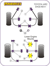 PowerAlign Camber Bolt Kit (15mm)