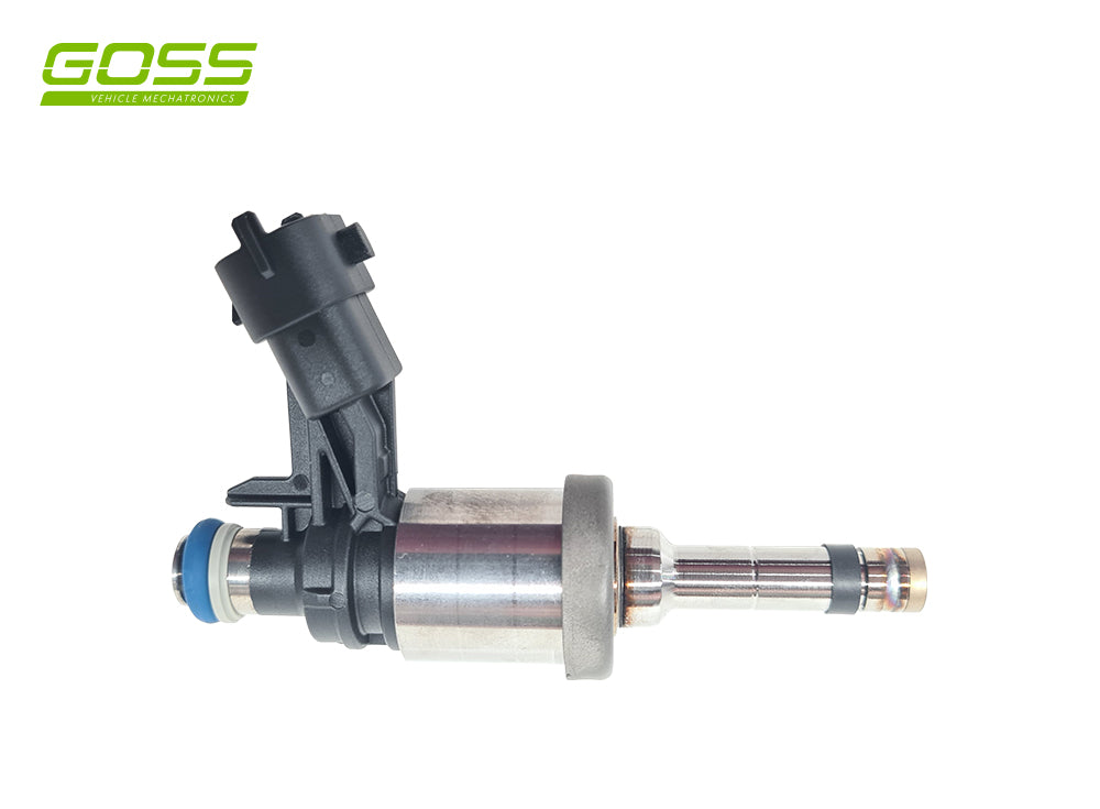 HOLDEN STATESMAN Injector - PID004