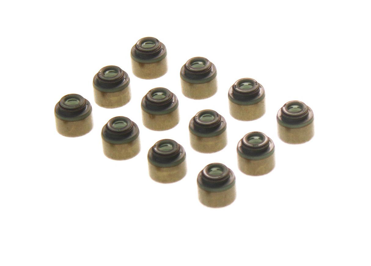 Mitsubishi Libero Permaseal Valve Stem Seal Set