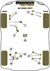Front Upper Control Arm Bush - Camber Adj
