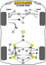 Front Lower Radius Arm to Chassis Bush