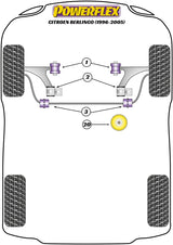Lower Rear Engine Mount Bush - Road