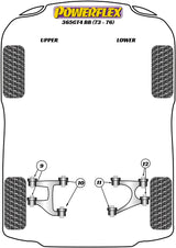 Front Lower Wishbone Bush