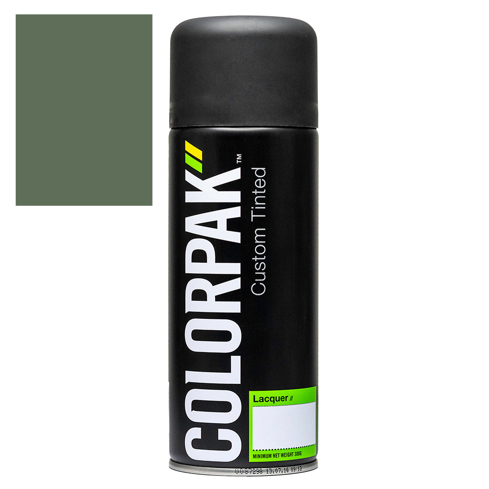 COLORPAK COLOURSTEEL AEROSOL SPRAYPAINT RIVERGUM - CPS514