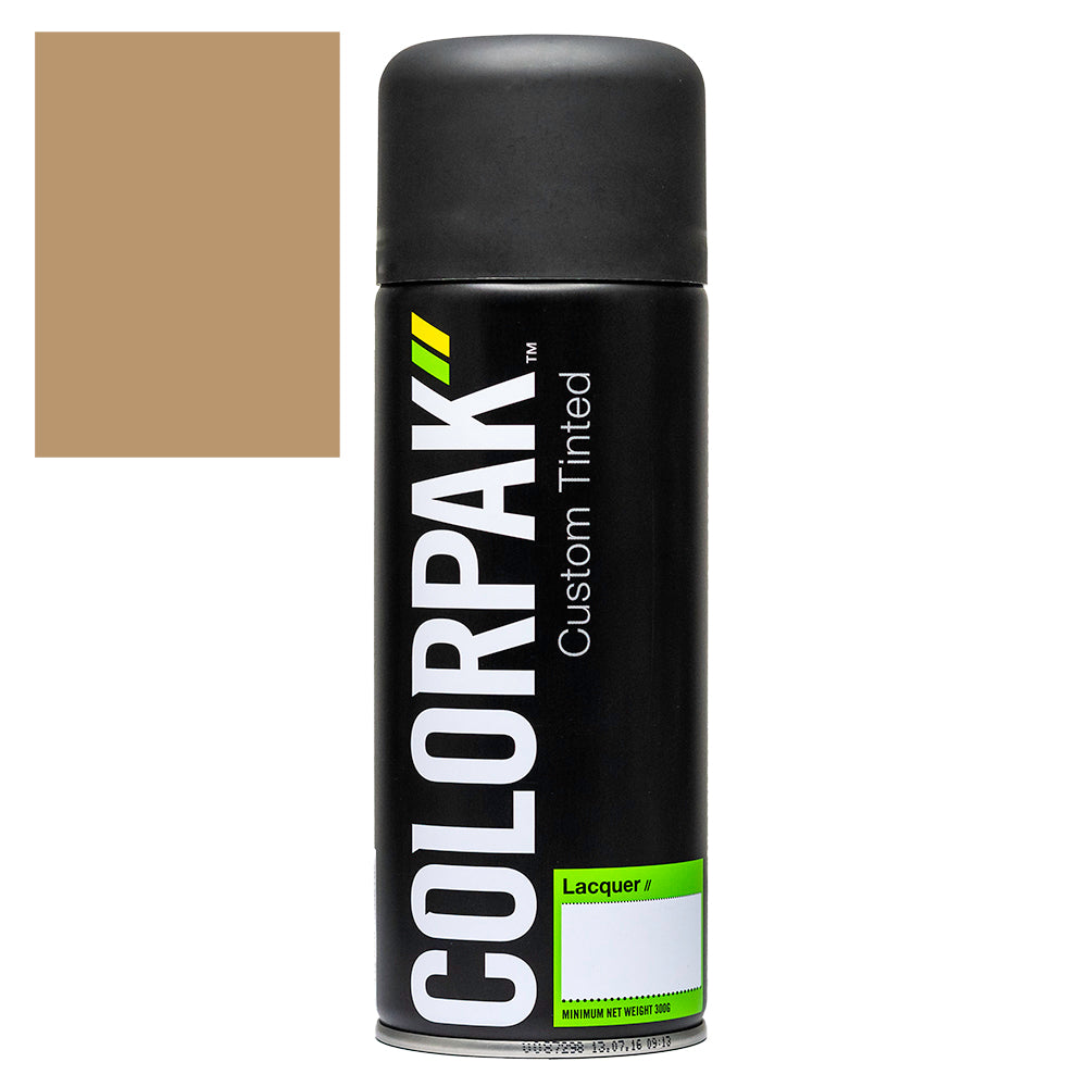 COLORPAK COLOURSTEEL AEROSOL SPRAYPAINT LICHEN - CPS518