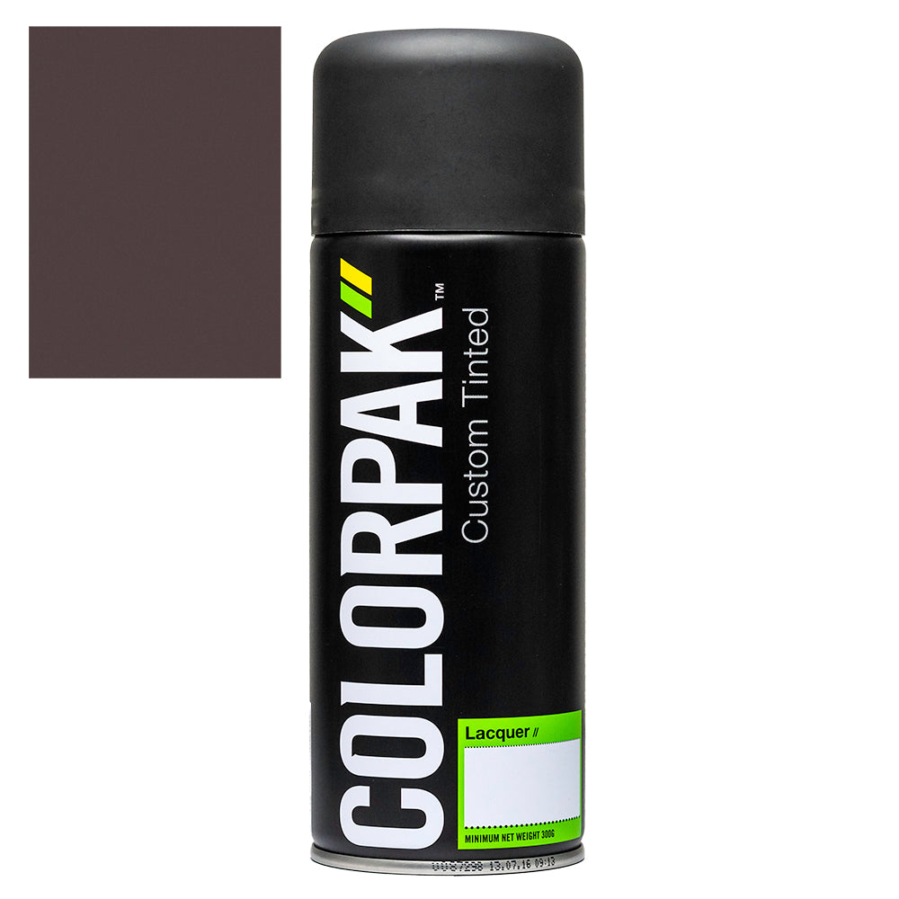 COLORPAK COLOURSTEEL AEROSOL SPRAYPAINT SLATE - CPS519