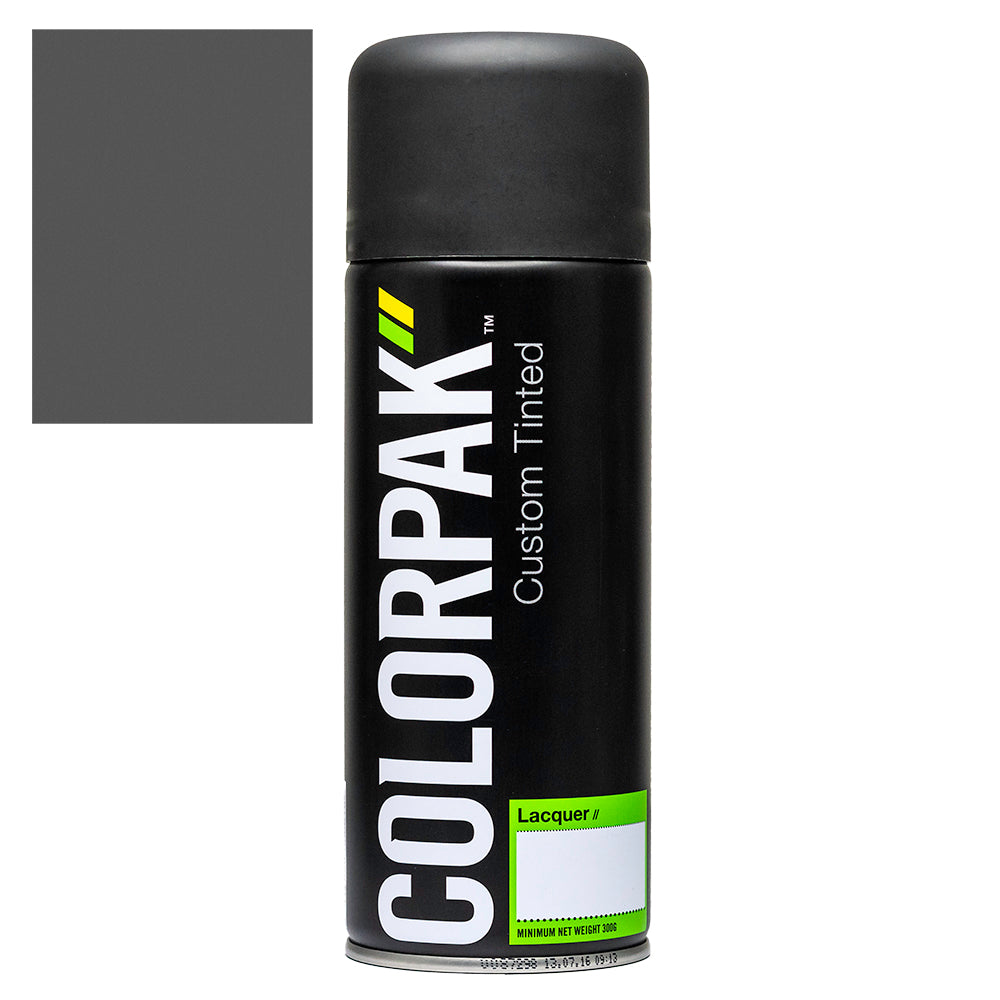 COLORPAK COLOURSTEEL AEROSOL SPRAYPAINT THUNDER GREY - CPS521