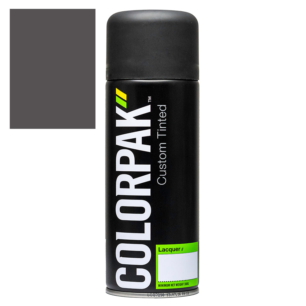 COLORPAK COLOURSTEEL AEROSOL SPRAYPAINT TERNSTYLE - CPS524