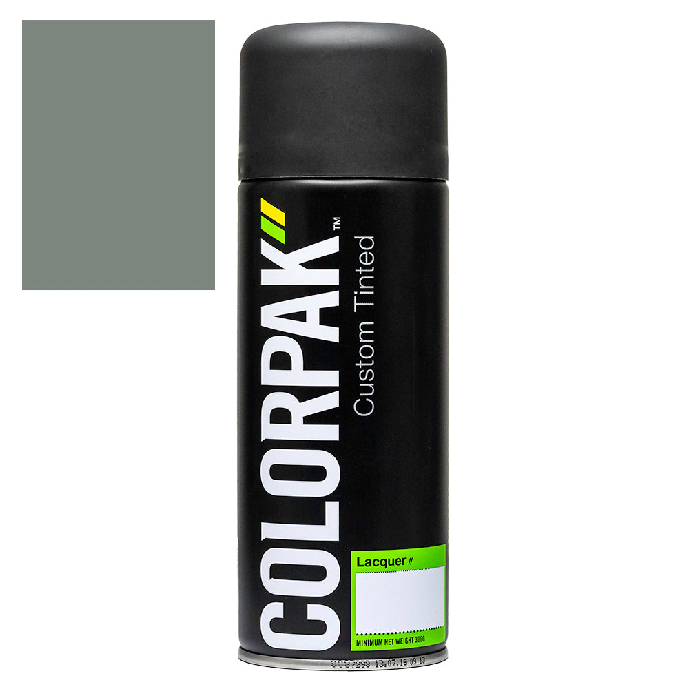 COLORPAK COLOURSTEEL AEROSOL SPRAYPAINT SMOKEY - CPS525