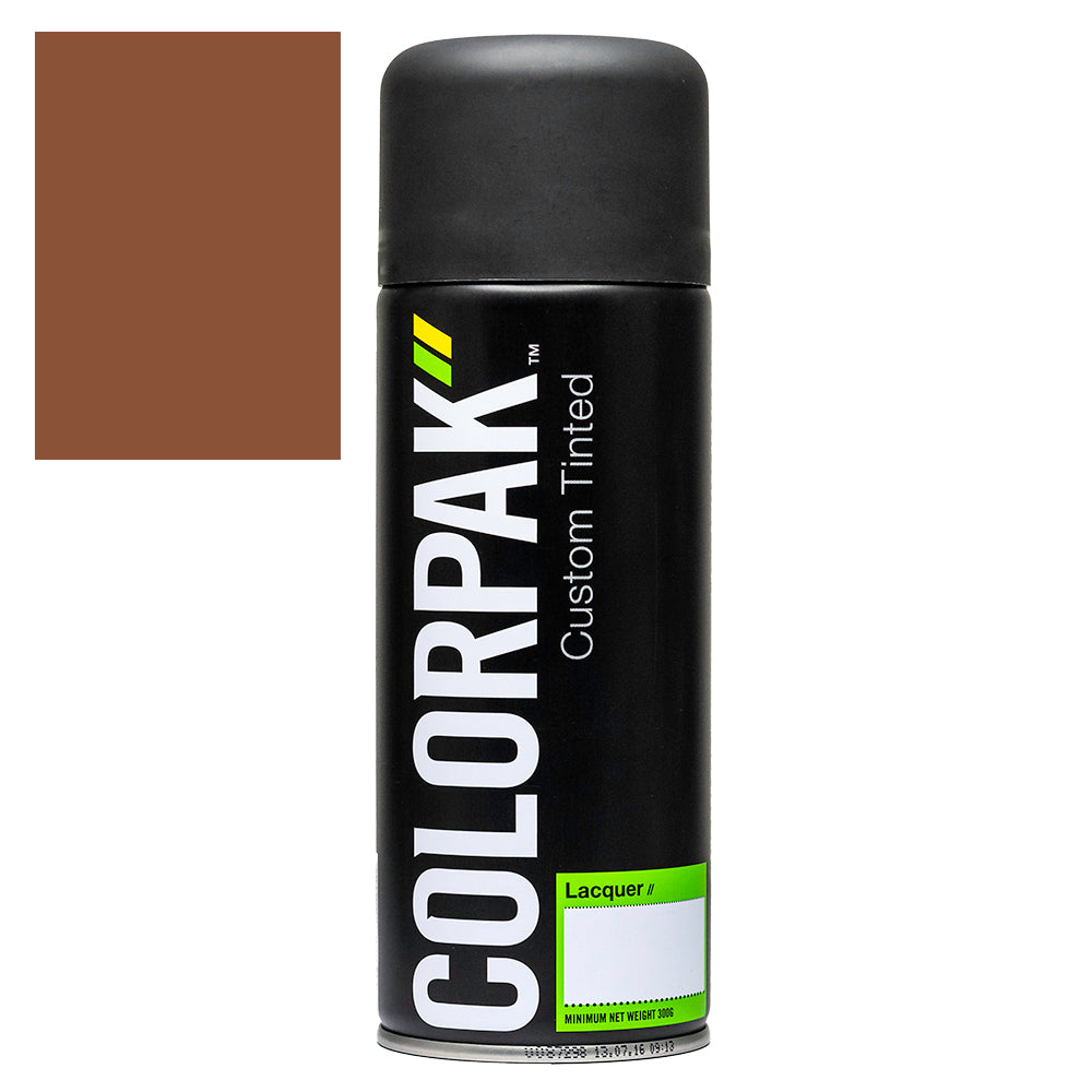 COLORPAK COLOURSTEEL AEROSOL SPRAYPAINT TERRACOTTA - CPS530